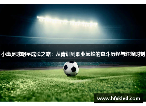 小鹰足球明星成长之路：从青训到职业巅峰的奋斗历程与辉煌时刻