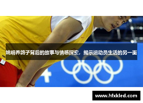 姚明养鸽子背后的故事与情感探索，揭示运动员生活的另一面