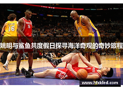 姚明与鲨鱼共度假日探寻海洋奇观的奇妙旅程